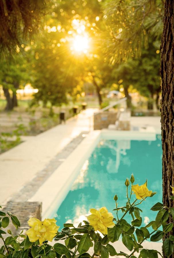 Mareleon Camping Ofrinion Bagian luar foto